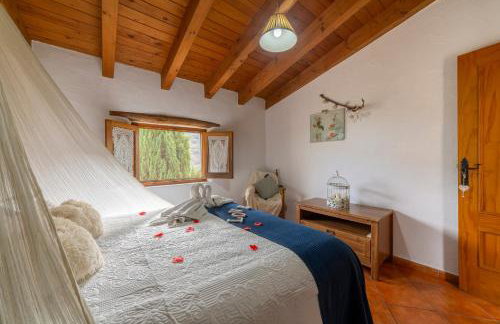 Tenguerengue - Photo 10