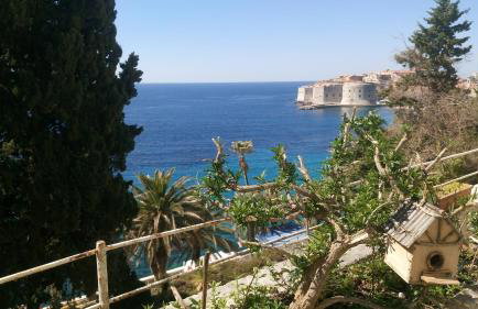 Apartments Dubrovnik Center - Photo 5