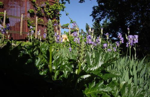 La bastide de Mauragne - Gîte les Iris - Photo 30
