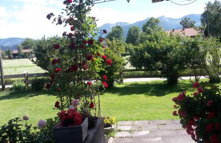 Schneiderhof Ferienwohnung mit Alpenblick - Foto 15