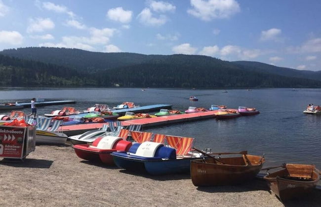 Appealing Apartment in Lenzkirch - Foto 28