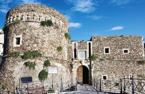 L'albero di limoni sul mare di Pizzo - Photo 58