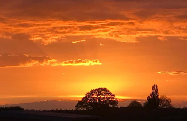 Holiday Home in Limburg Near Cafe 't Weverke - Photo 32