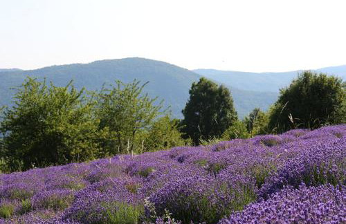 Kuća za odmor Koprivnjak - Foto 22