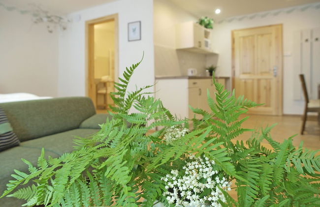 Apartmány Domestika - Foto 25