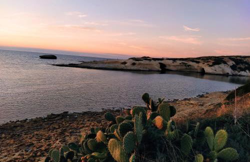 Agriturismo Bellu - Foto 8