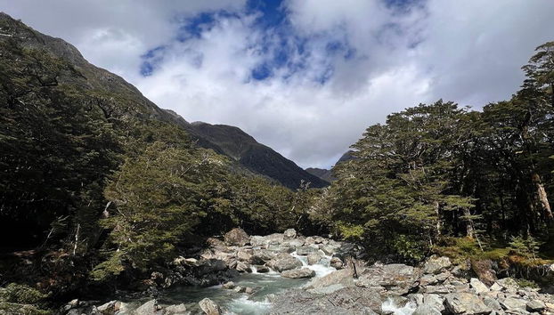 Der Routeburn Track - Geführter Ganztages-Wanderung - Foto 3