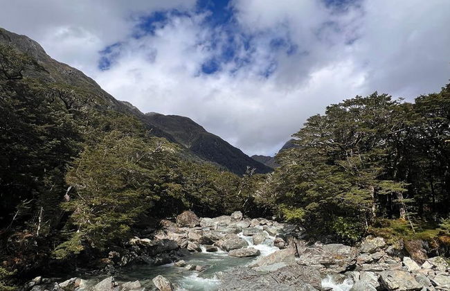 Der Routeburn Track - Geführter Ganztages-Wanderung - Foto 3