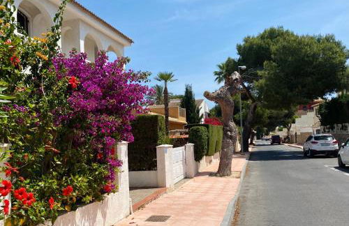 El Pueblito - Foto 28