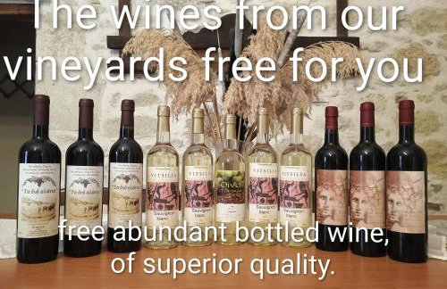 Traditional Creta stone house in serenity village - Foto 2