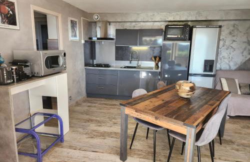 APPARTEMENT REZ DE JARDIN DANS VILLA VUE MER - Foto 2