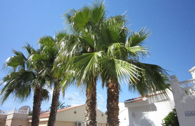 Modern Villa in Rojales with Hot Tub & Private Pool - Foto 29