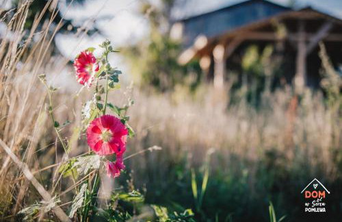 Dom w sercu Pomlewa - Foto 31