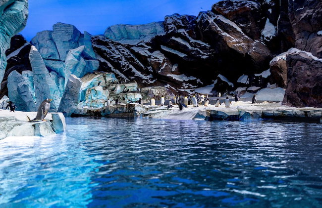 Aparthotel Adagio Abu Dhabi Al Bustan - Photo 54