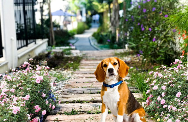 YALIN APART HOTEL - Foto 20