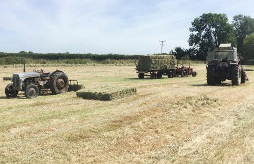 Bee Cottage - Foto 27