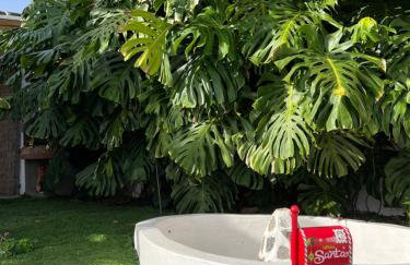 La Paredita Casa Guimar - Foto 12