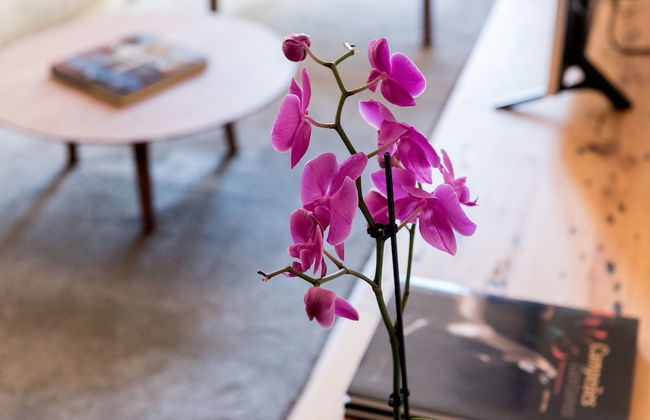 FLORA Chiado Apartments - Foto 39