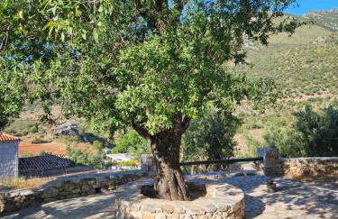 Studio Tsiliviani - Foto 20