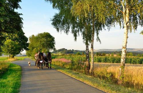 Ferienhof Kürschner - Foto 24