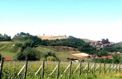 Teresa al Belvedere Rooms&HolidayApartments Camere&Appartamenti - Foto 50