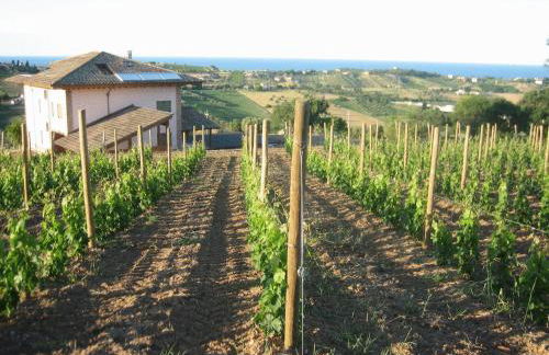 L'Orso e L'Ape B&B - Foto 45