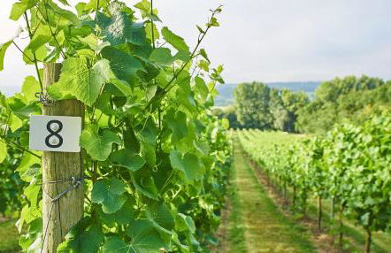 Aldwick Estate - Foto 6