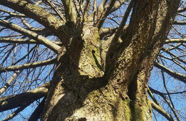 Landschule Rhön - Foto 38