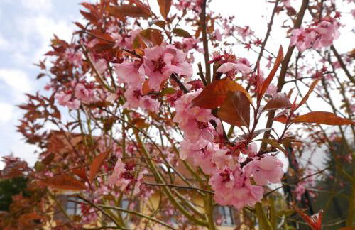 Gästehaus Seeber - Foto 4