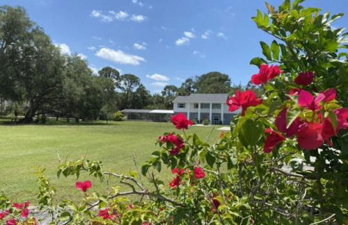 Blue Shores - Foto 38