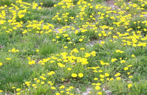 les Gites de l’E.D.E. - Photo 53