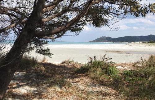 On The Sea Villa Fenicottero - Foto 19