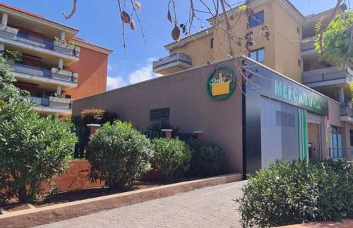 Jardín del Teide - Foto 34