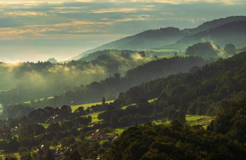 Zakątek Natura - domki całoroczne w gminie Laskowa - Photo 58