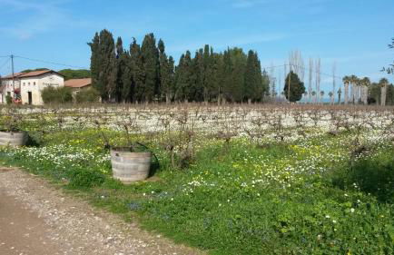 Villa Feia - Photo 40