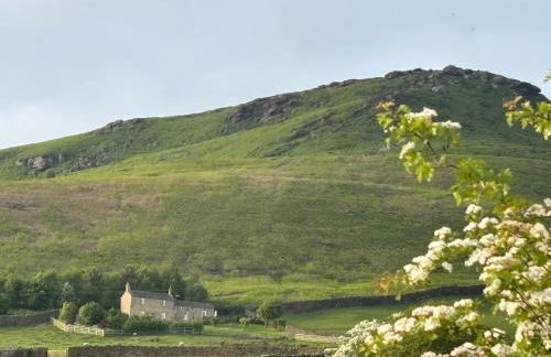 Luxury Retreat - Foto 2