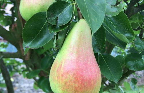 Villa Marta loft diáfano con jardín y aparcamiento en Villa histórica - Foto 30