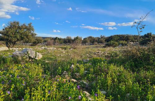 Apartment Rubus - Stivan, Cres - 900 m to Merascica beach - Foto 15