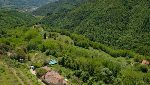 Holiday Home Il Castagneto-1 by Interhome - Foto 5