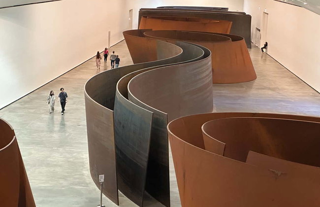 Visite guidée du musée Guggenheim de Bilbao - Foto 3