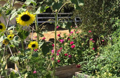 Amazing Loft on Horse Ranch - Foto 42