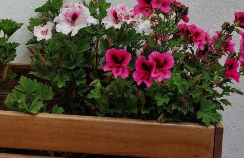 MAR NEST Lodging - New & cosy house for 2, fully equiped & sea view - Photo 15