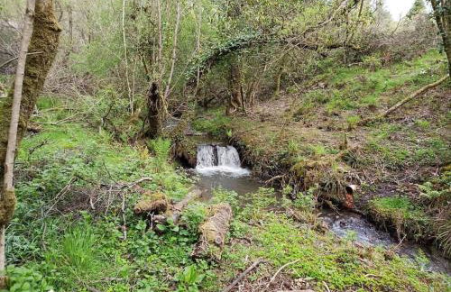 The old hayloft on 22 acre country smallholding - Foto 52