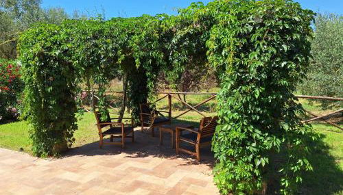 Terre di Cornossa - Foto 3