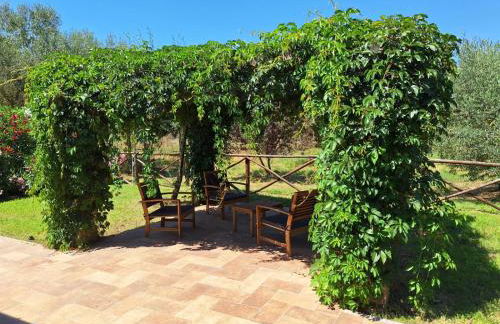 Terre di Cornossa - Foto 3