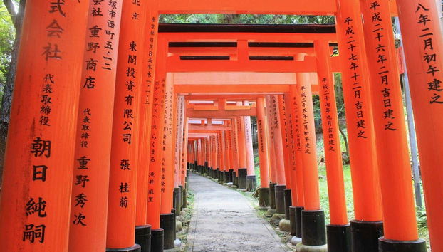 Tour completo por Kyoto com ingressos - Foto 4