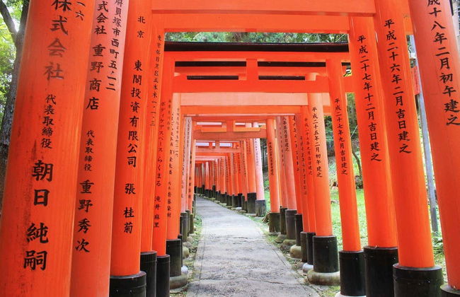Tour completo por Kyoto com ingressos - Foto 4