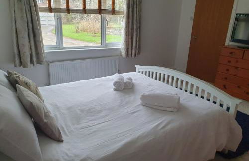 Large private home with small lake and garden - Photo 22