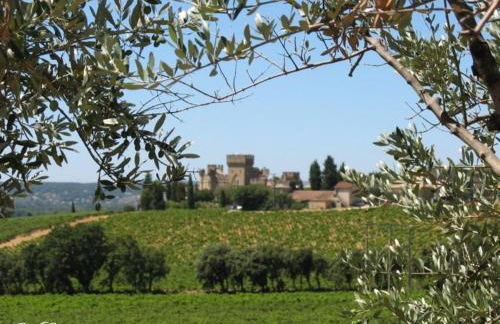 Chateau Juliette Winery Villa Provence - Foto 36