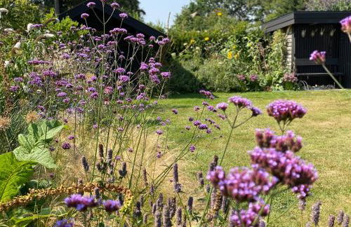 HAUS ZWEINEUN - Foto 13